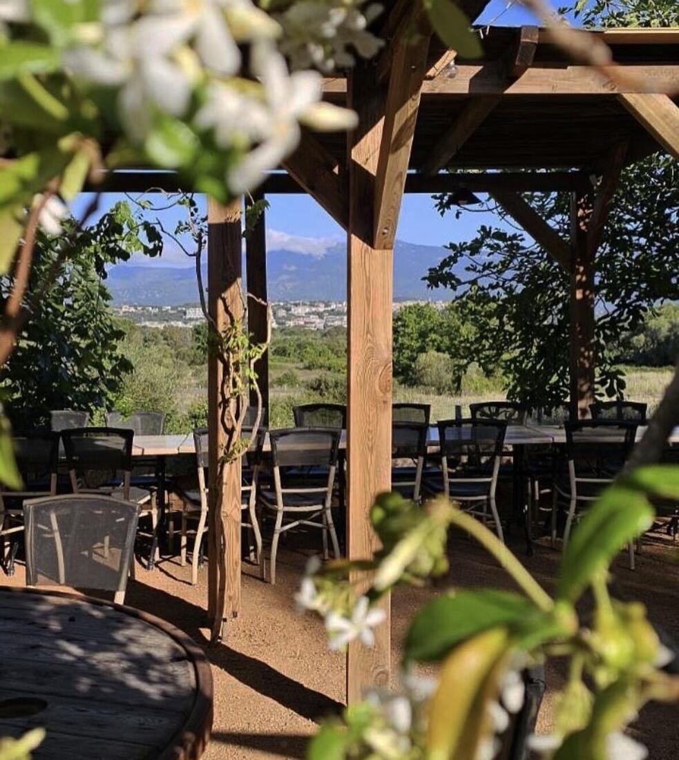 La pergola fleurie de jasmin, avec vue sur Porto-Vecchio